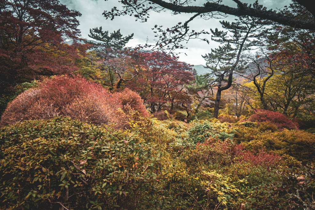 picture of gardens