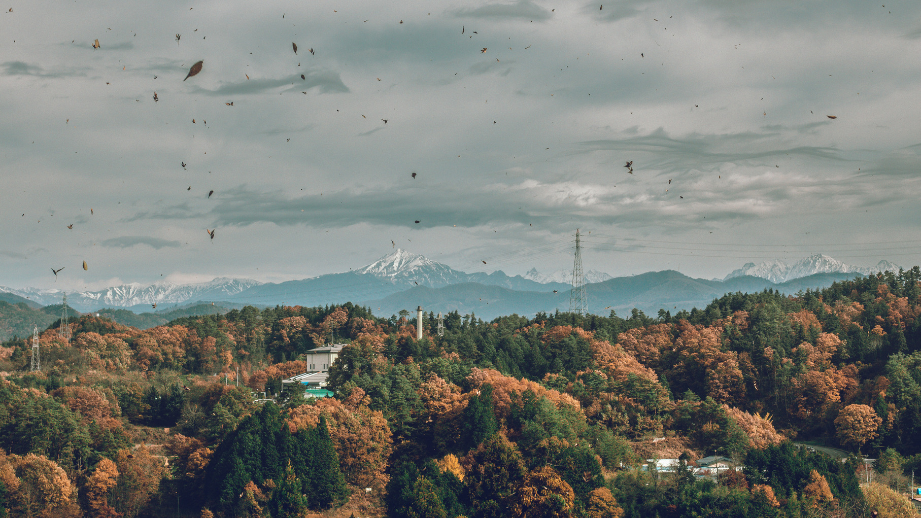 picture looking towards the Japanese Alps