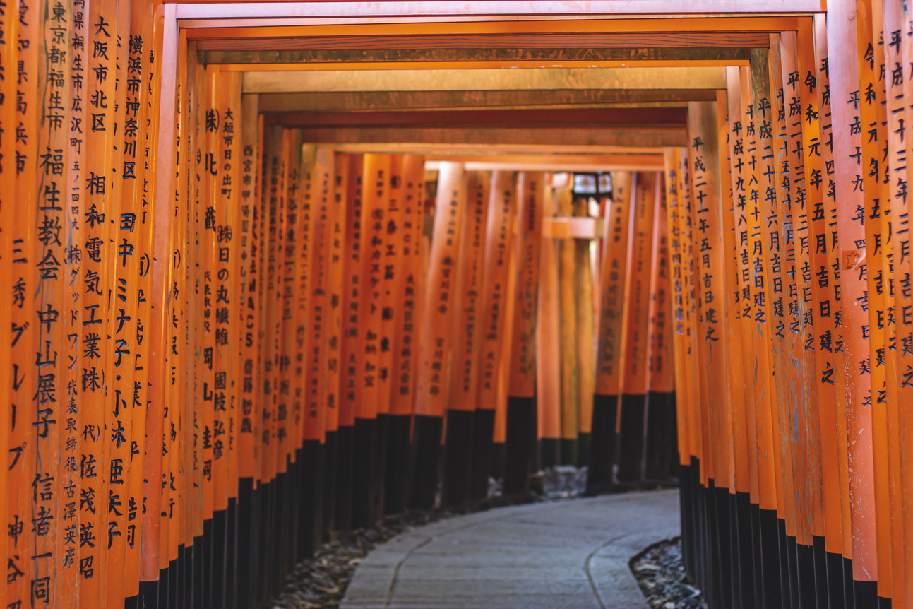 image of the Torii gates